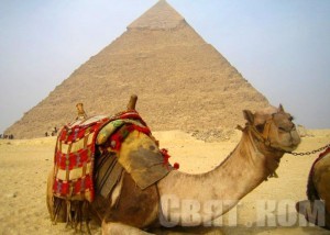 egypt_01